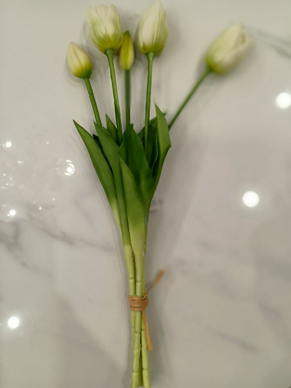 Букет из 5 тюльпанов Букет из 5 тюльпанов