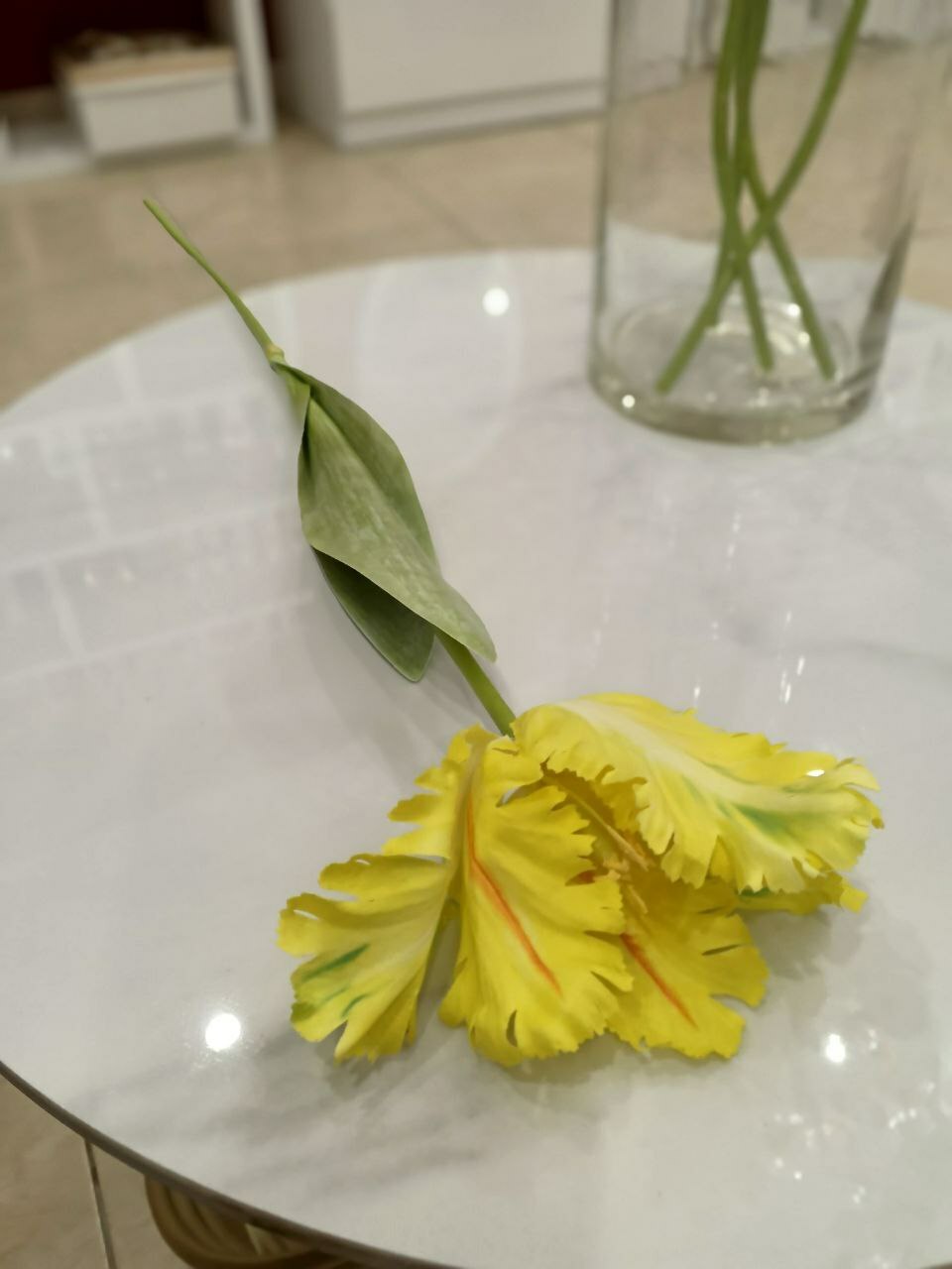 Тюльпан желтый Тюльпан желтый